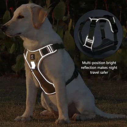 adjustable reflective dog harness for Labrador, vest-style nylon dog harness with bright night visibility