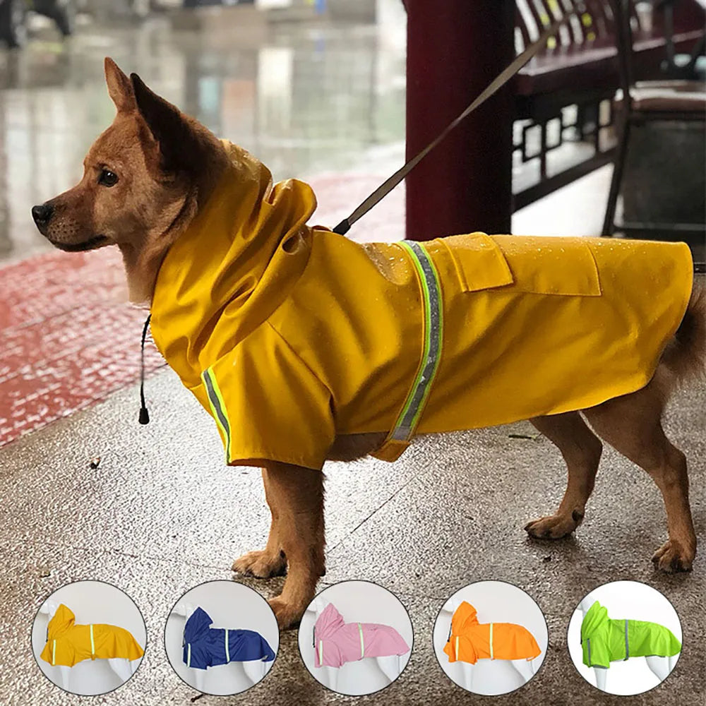 Scbc8a4e519c94457ae3d25ac0cf69a56R - bestdoggylife.shop