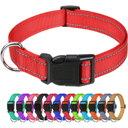 Scbdf51ff20fc4774ba2ad5c90e54b9e4u - bestdoggylife.shop