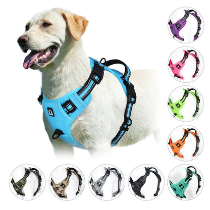 Scc6dcc1bb8cc46979958091471806bedq - bestdoggylife.shop