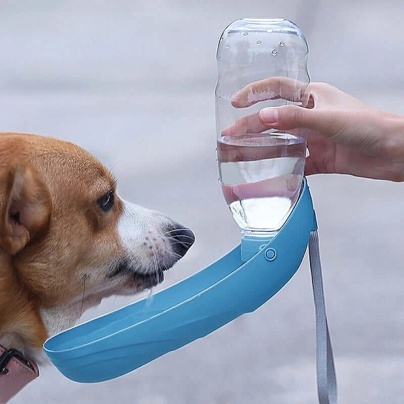 portable dog water bottle blue 550ml foldable drinking bowl for small and large dogs outdoor travel walking