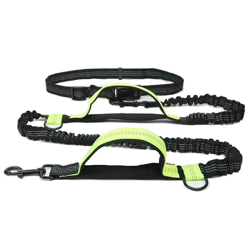 Scceba598a9ca4bbdab258cec07a5a083N - bestdoggylife.shop