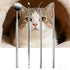 stainless steel pet tartar cleaning kit 4PCS A with reusable pet dental tools for dogs and cats, safe daily oral care