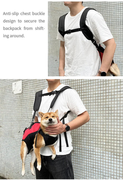 Dog backpack carrier for hiking and biking with anti-slip chest buckle and secure belly support for comfortable pet transport