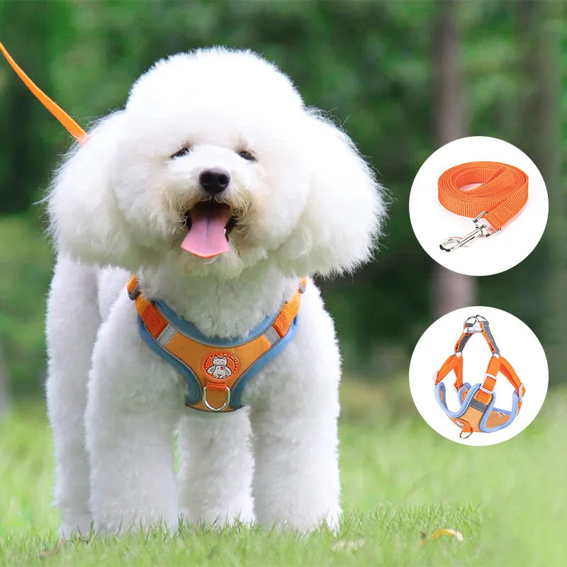 White dog wearing adjustable reflective dog vest harness with orange leash and matching vest design for small to medium pets