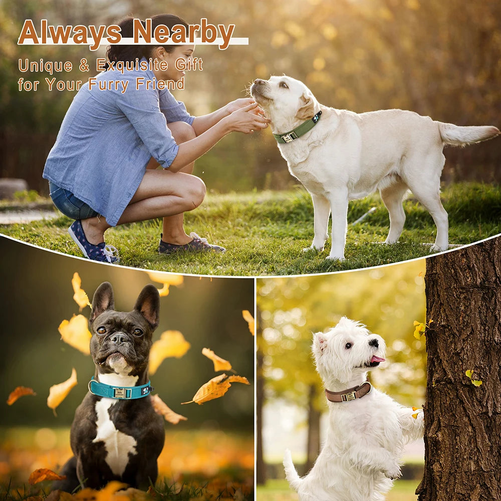 personalized nylon dog collar for small medium large dogs, adjustable custom pet ID collar with free engraving