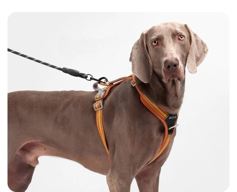 Scd88cba08cbc4486af5e27452a1a8d6cB - bestdoggylife.shop
