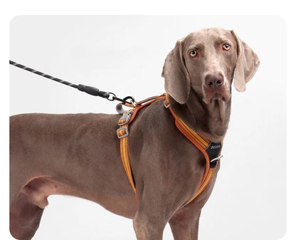 Scd88cba08cbc4486af5e27452a1a8d6cB - bestdoggylife.shop
