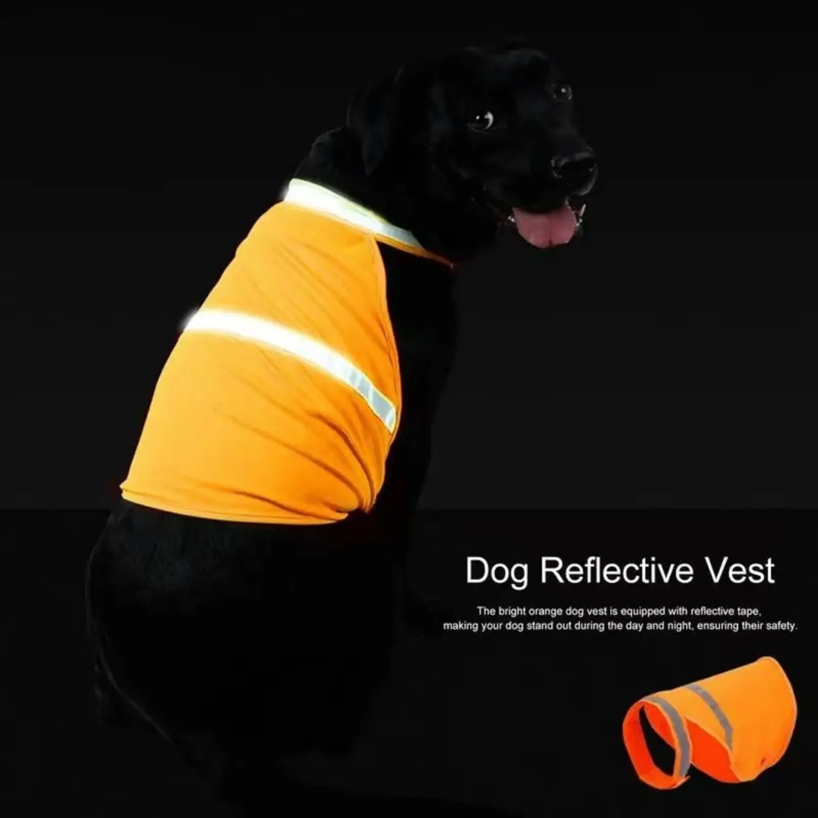 Black dog wearing orange reflective safety vest for dogs, high visibility, on dark background.
