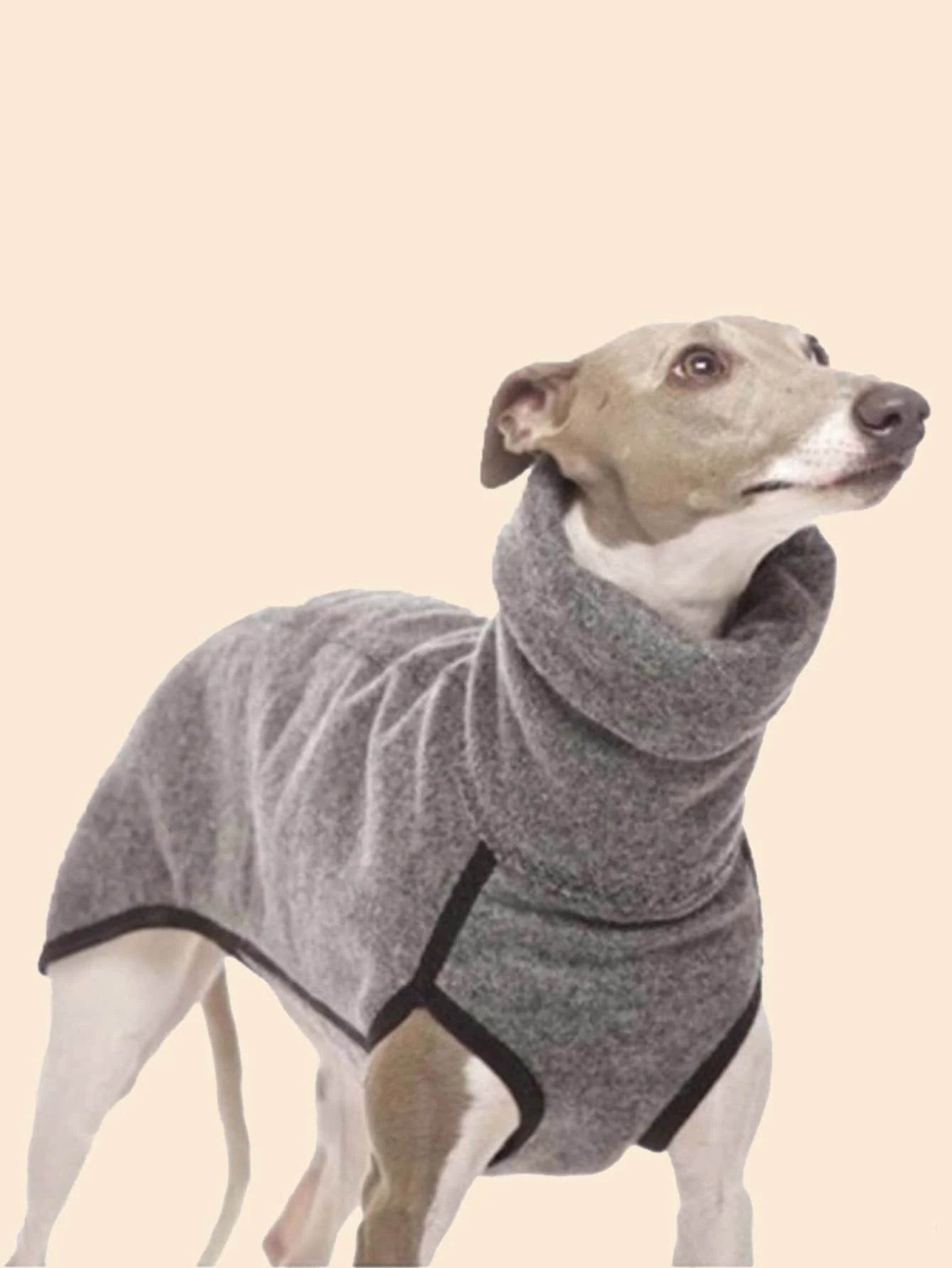 Scda35c53c90e45b5bfb872e2bfce62ecg - bestdoggylife.shop