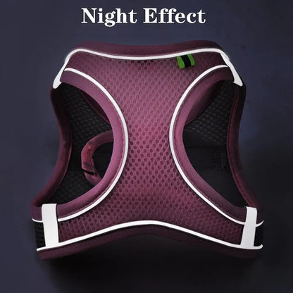 adjustable reflective dog harness vest for small dogs, breathable purple chest harness with night effect