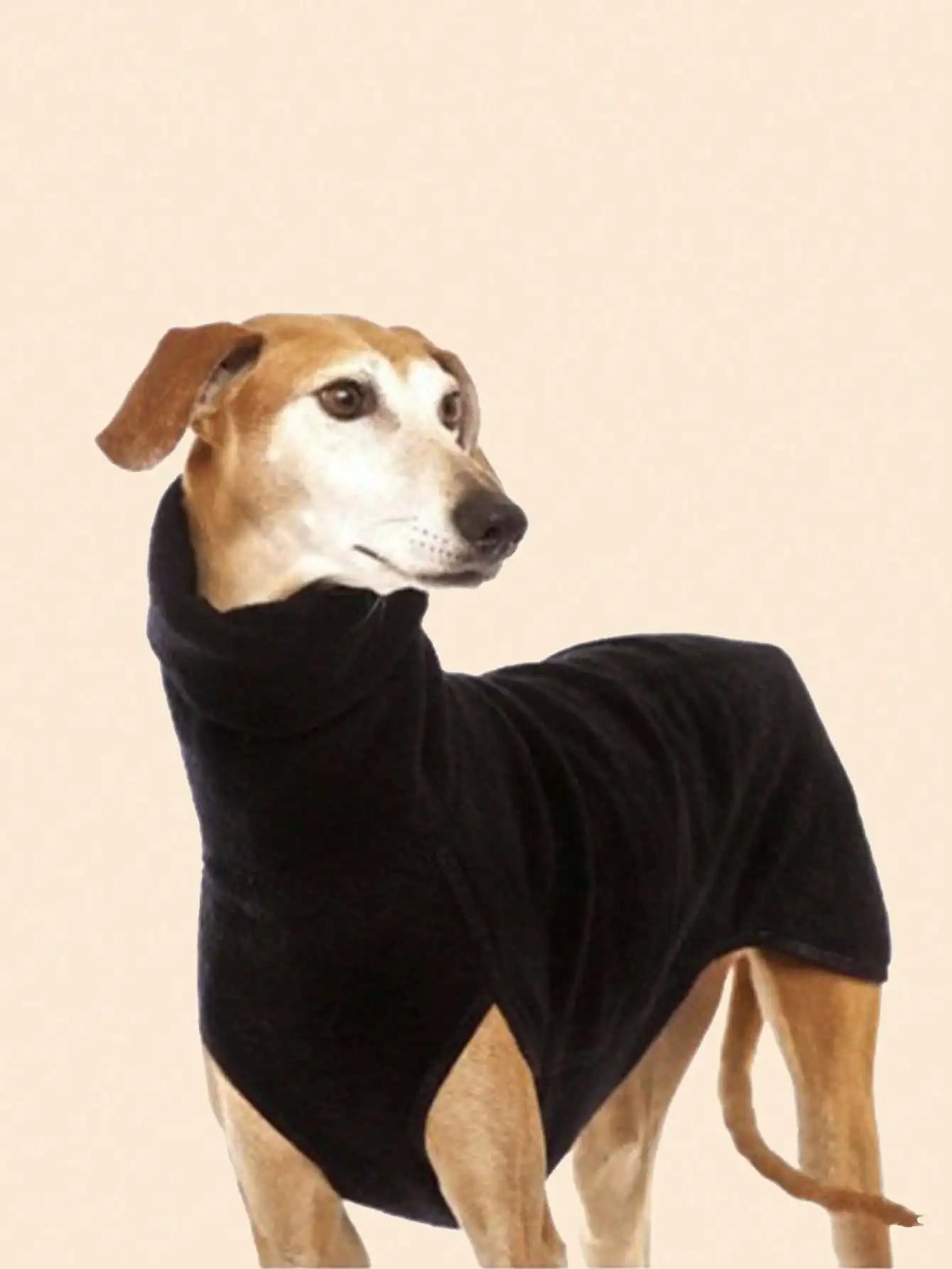Scdebf61a06384809b145909399804ad2e - bestdoggylife.shop