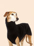 Scdebf61a06384809b145909399804ad2e - bestdoggylife.shop