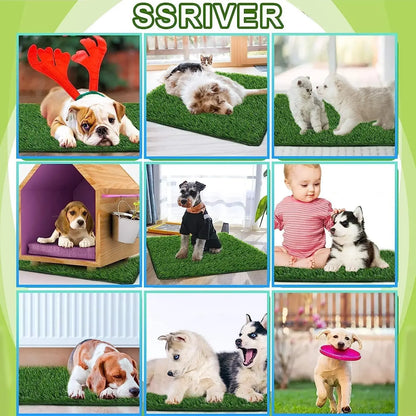 Sce756cbdfd5b426c9436fe9911aeacc0A - bestdoggylife.shop