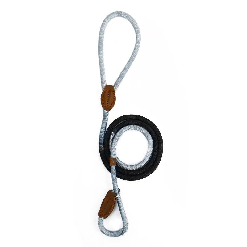 Sceb8756d91614b61bcefe37788677e915 - bestdoggylife.shop