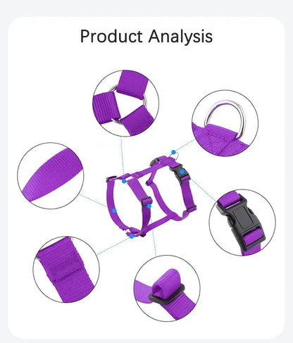 adjustable dog harness for dogs, purple lightweight H-shaped washable nylon harness with buckle and rings