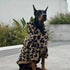 Scf7e1c057bc84ec189226918d14e4dd2x - bestdoggylife.shop