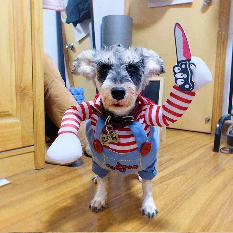 Dog wearing funny red striped costume with plush knife prop and suspenders indoors