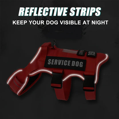 Scfbf55cd214e4fe9b093e49e56acb8f7W_c30aef8a-9f77-45a2-bef2-710894a3ac26 - bestdoggylife.shop
