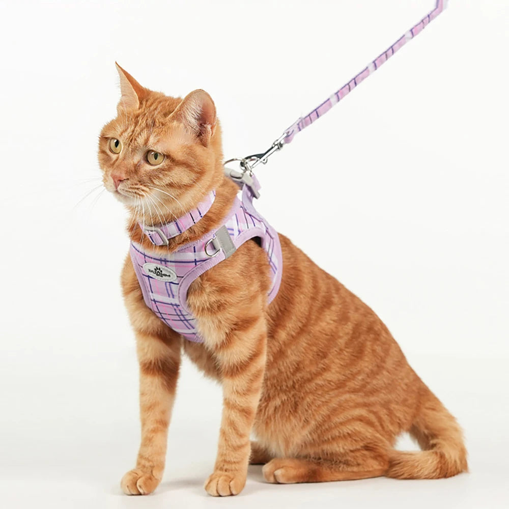plaid pet leash set on cat with matching harness and leash, stylish durable pet walking accessories
