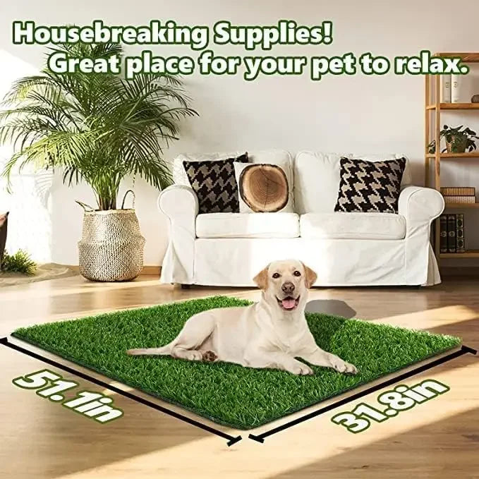Sd07bf48bcb2f4961bc250ffe1002feecH - bestdoggylife.shop