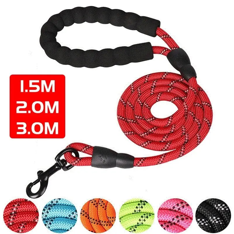 Sd0884a0b97a74b338bdedbe3e22b6babI - bestdoggylife.shop