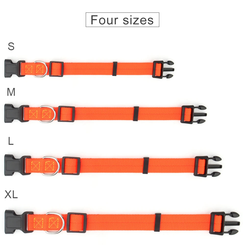 adjustable nylon dog collar with quick release buckle, four sizes for small medium large dogs, durable thin webbing