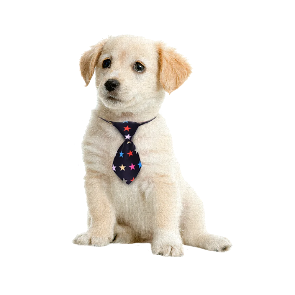 30/50PCS Dog Grooming Pets Dogs Neckties Small Dog Bowties Dog Grooming Accessories For Large Dogs Ties Pet Supplies