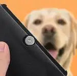 pet deshedding brush for dogs, ergonomic dog hair remover tool with black handle and blurred dog in background
