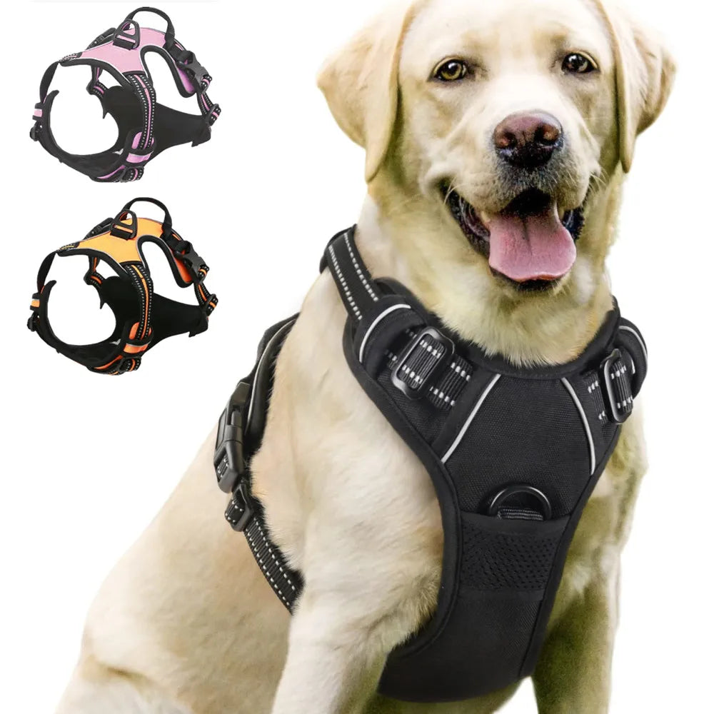 Sd22c3e08be6d4bff852bc404f08c751aM - bestdoggylife.shop