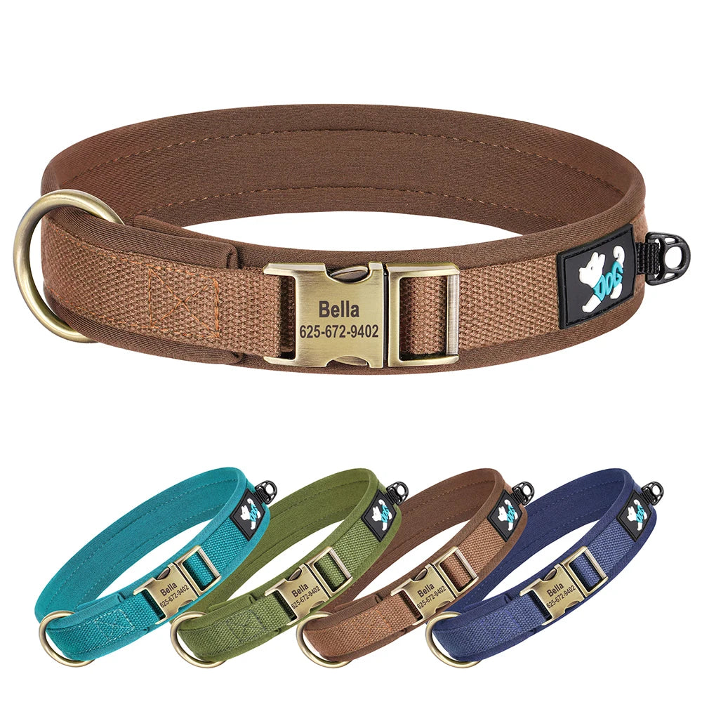 personalized nylon dog collar with adjustable engraved buckle for small medium large dogs