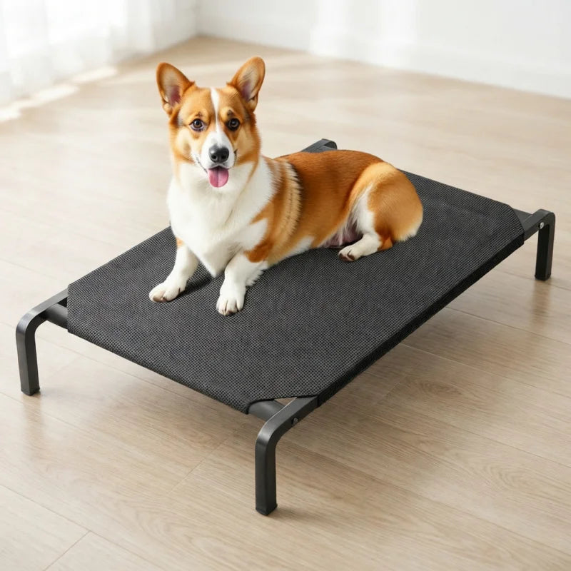 Corgi on elevated dog bed for all seasons, breathable moisture-proof removable washable pet bed for indoor comfort