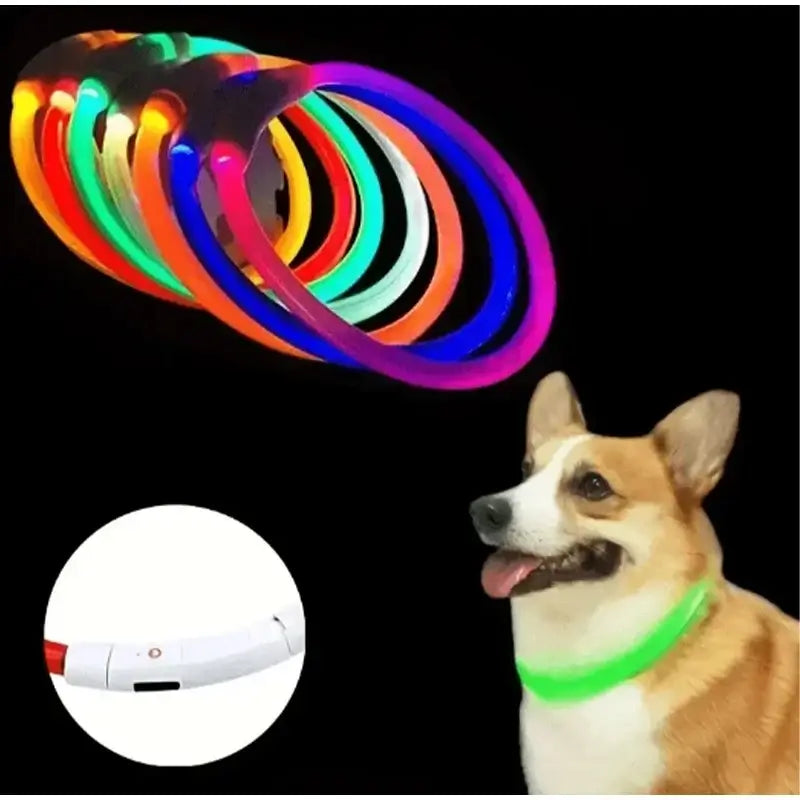 LED dog collar for dogs, USB rechargeable luminous safety collar with colorful glow for night walks and anti-lost visibility