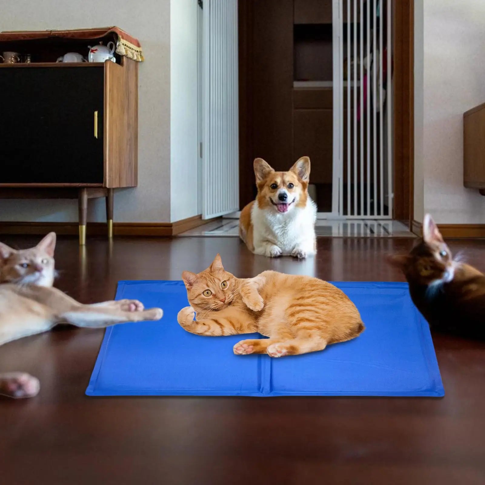 self cooling dog mat for pets, portable blue cooling pad for cats and dogs, ideal for summer napping and hot weather