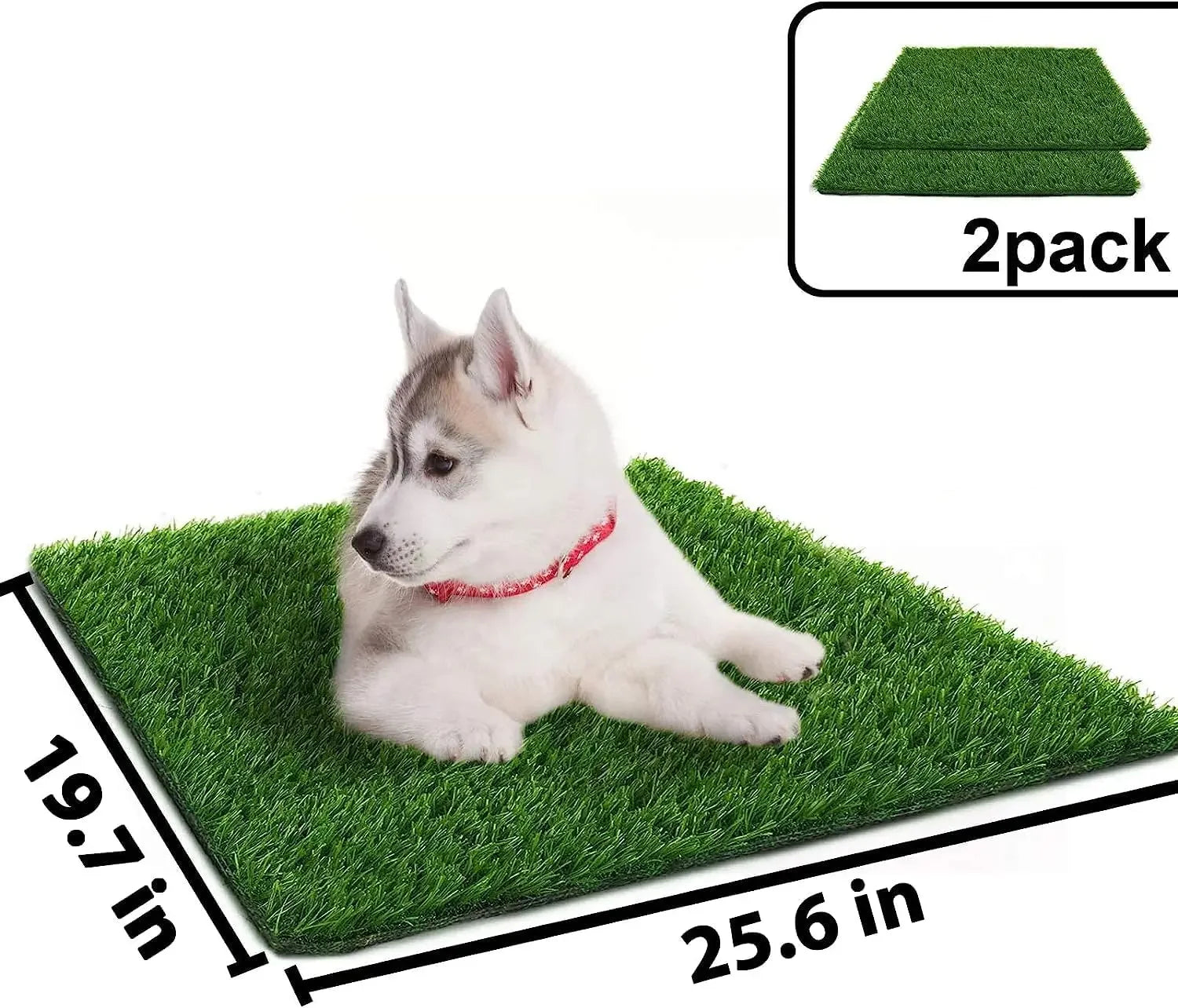 Sd2f8df8d83b44e51a9a2092d55967043T - bestdoggylife.shop