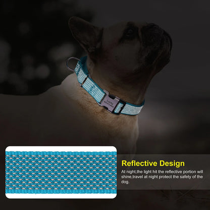 reflective nylon dog collar with handle for dog walking, adjustable reflective training collar for small to large dogs