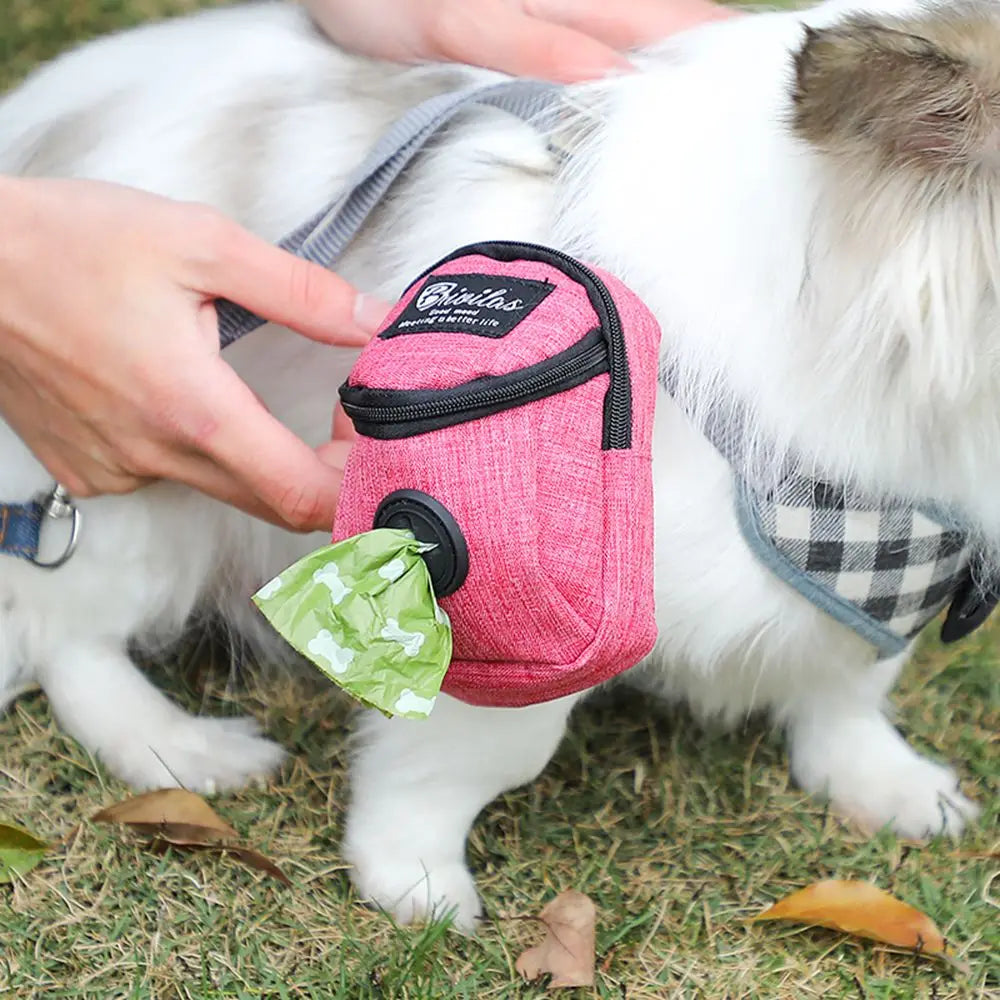 Small dog wearing plaid harness with pink dog waste bag holder and green waste bags outdoors