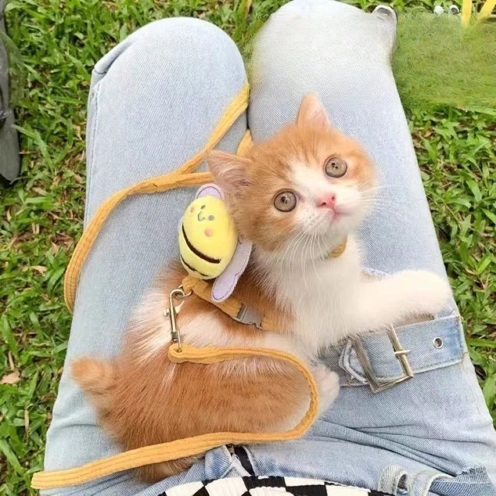 adjustable cat harness and leash set for kitten with bee charm, breathable yellow walking harness on small orange and white cat
