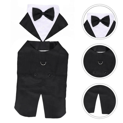 Sd4425632f11540f1abc7edcbd24e6a9eW_2b548f26-a772-4541-8c4a-2f2fd4dee6dc - bestdoggylife.shop
