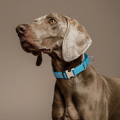 Reflective nylon dog collar with handle for large dogs, adjustable blue training collar with control handle and metal buckle