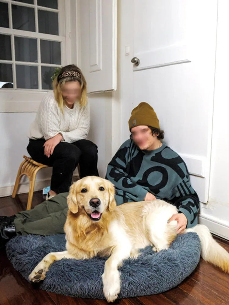 Golden retriever resting on a washable donut dog bed with two people indoors, cozy pet bed for medium to large dogs