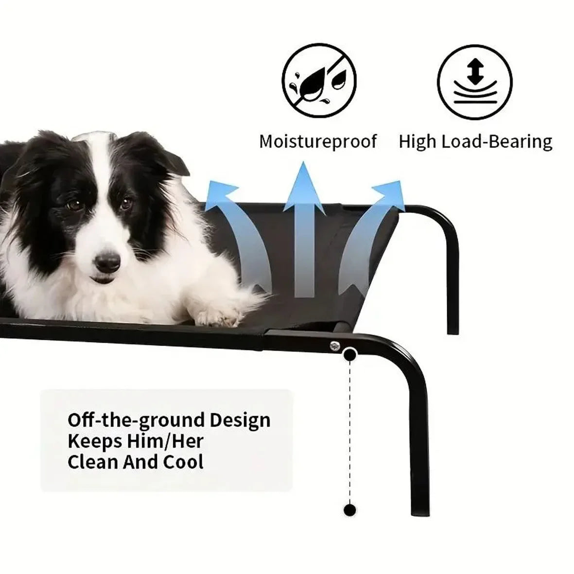 elevated dog bed for all seasons moistureproof breathable washable off-ground pet bed for Golden Retriever