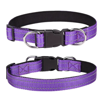 Purple adjustable nylon dog collar with black plastic buckle and metal D-rings