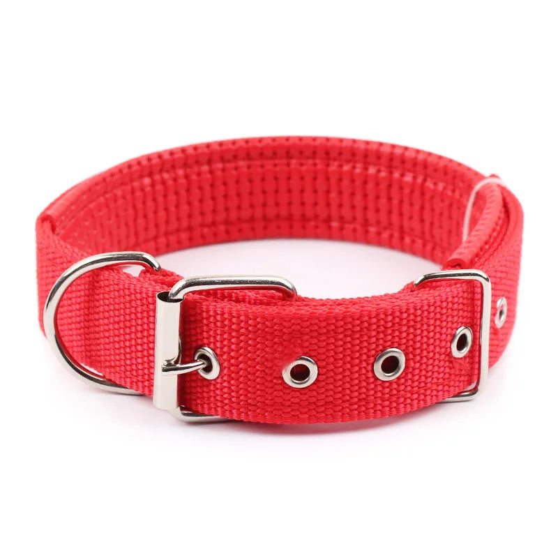 Sd6a158f278244d69a612461ddefdf731t - bestdoggylife.shop