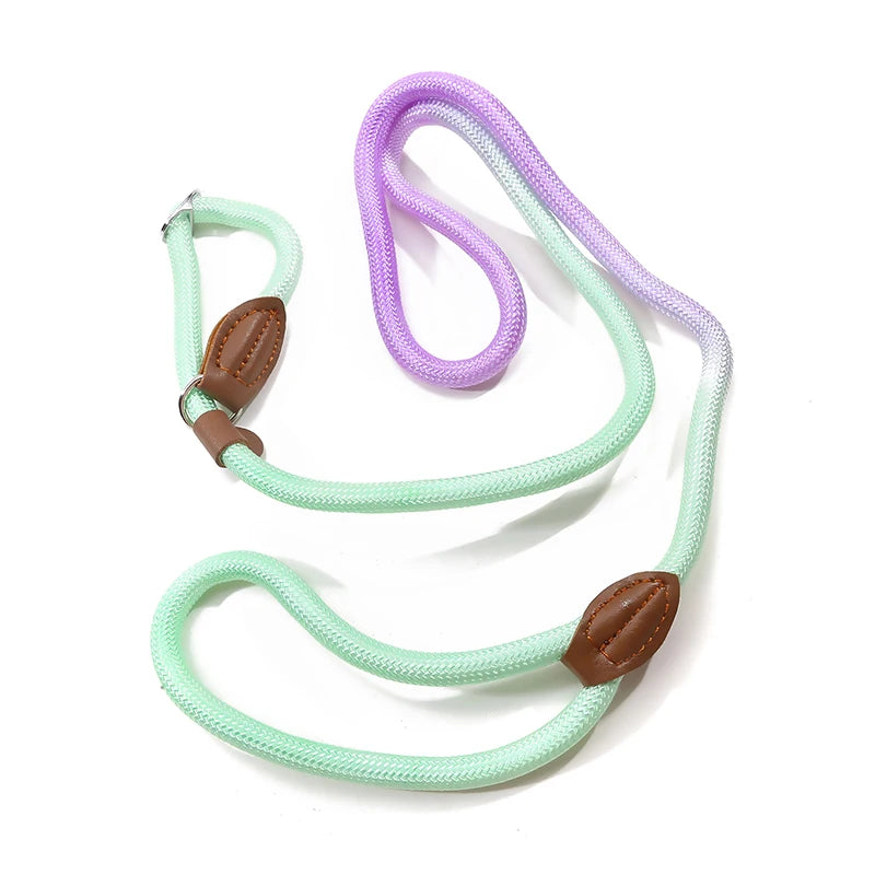 Sd6a7ba0651ab451b9785740c3964d78c2 - bestdoggylife.shop