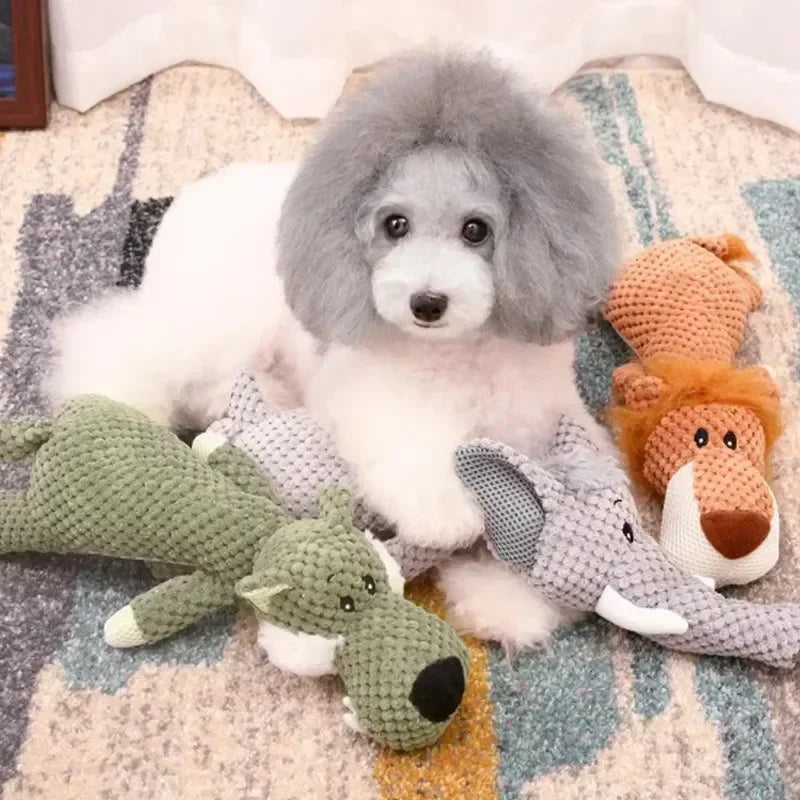 Small white poodle with fluffy gray head surrounded by plush dog toys on a rug