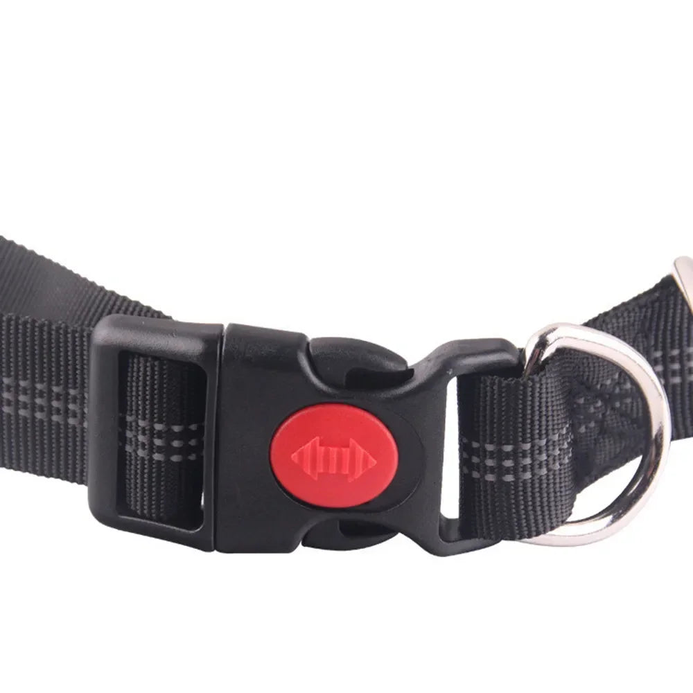 Sd7e3c77b2c6243e28b04bf5264d9926aC - bestdoggylife.shop
