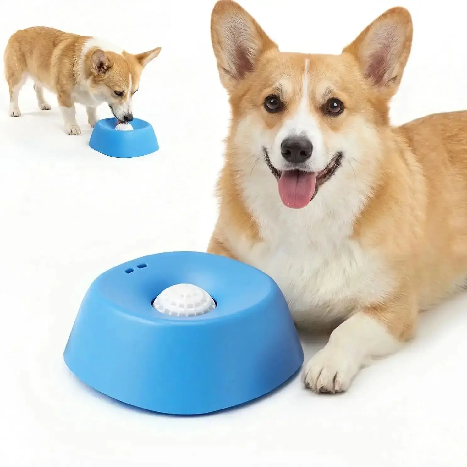 Corgi using a slow feeder dog bowl for lick treats, non-spill puzzle feeder for bone broth and yogurt