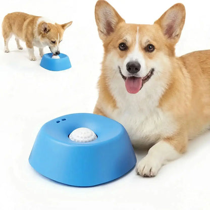 Corgi using a slow feeder dog bowl for lick treats, non-spill puzzle feeder for bone broth and yogurt