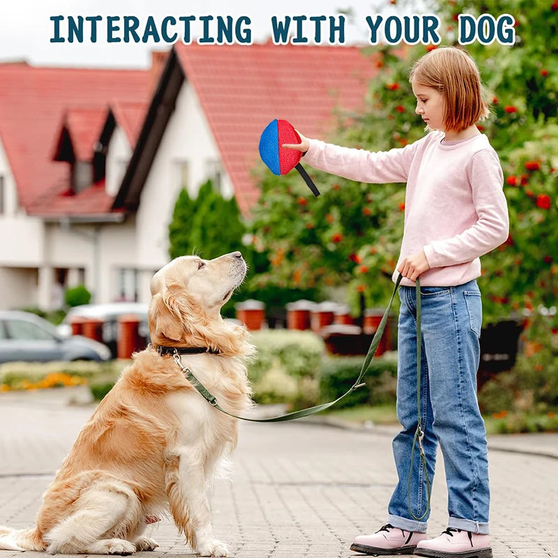 Girl training golden retriever with interactive dog toy outdoors